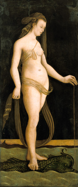 Galathea, on a dolphin standing. from Jacopo de Barbari