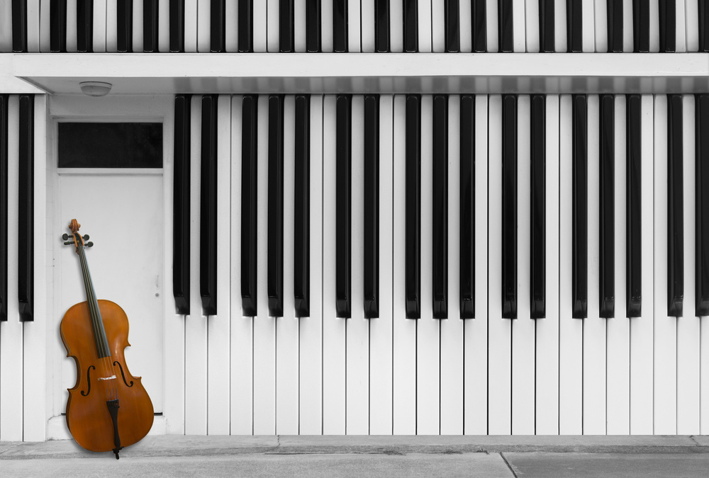 Cello at the Door from Jacqueline Hammer