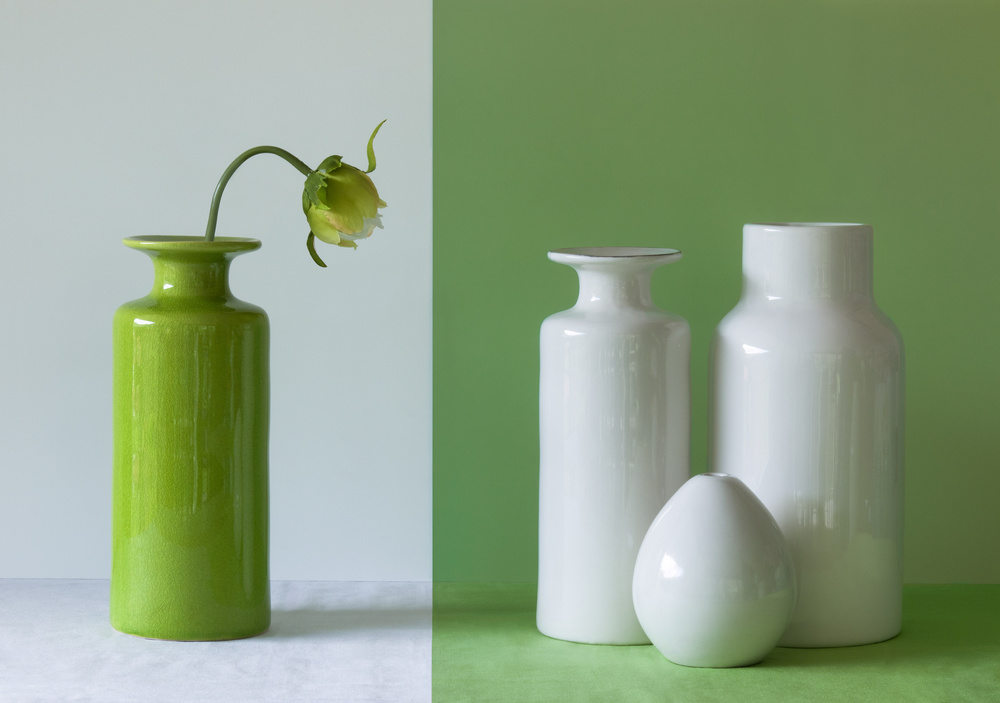 Empty Vases from Jacqueline Hammer