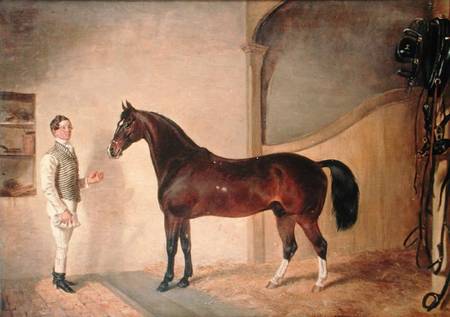 Groom with Hunter on Tredegar Estate, Monmouthshire from James Flewitt Mullock