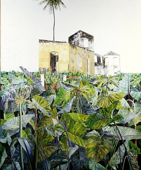 Ruin in a Swamp, Haiti, 1971 (oil on canvas)  from  James  Reeve