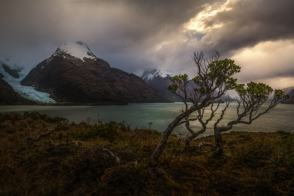 Southernmost Fjords from James S. Chia