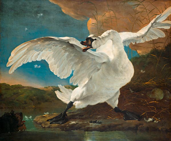 The Threatened Swan from Jan Asselijn