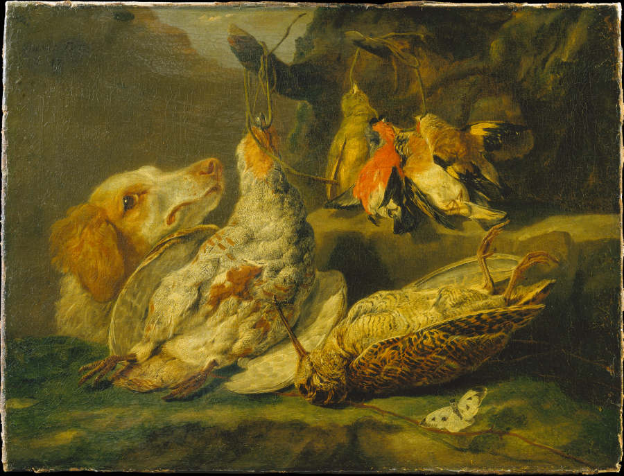 Still Life with Hunting Dog and Dead Fowl from Jan Fyt