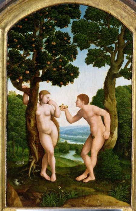 Adam and Eve in Paradise from Jan van Scorel