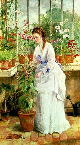 Young Lady in a Conservatory