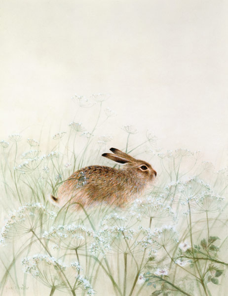 Rabbit  from Jane  Neville