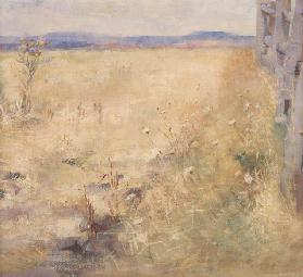 Ploughland in Summer, c.1900
