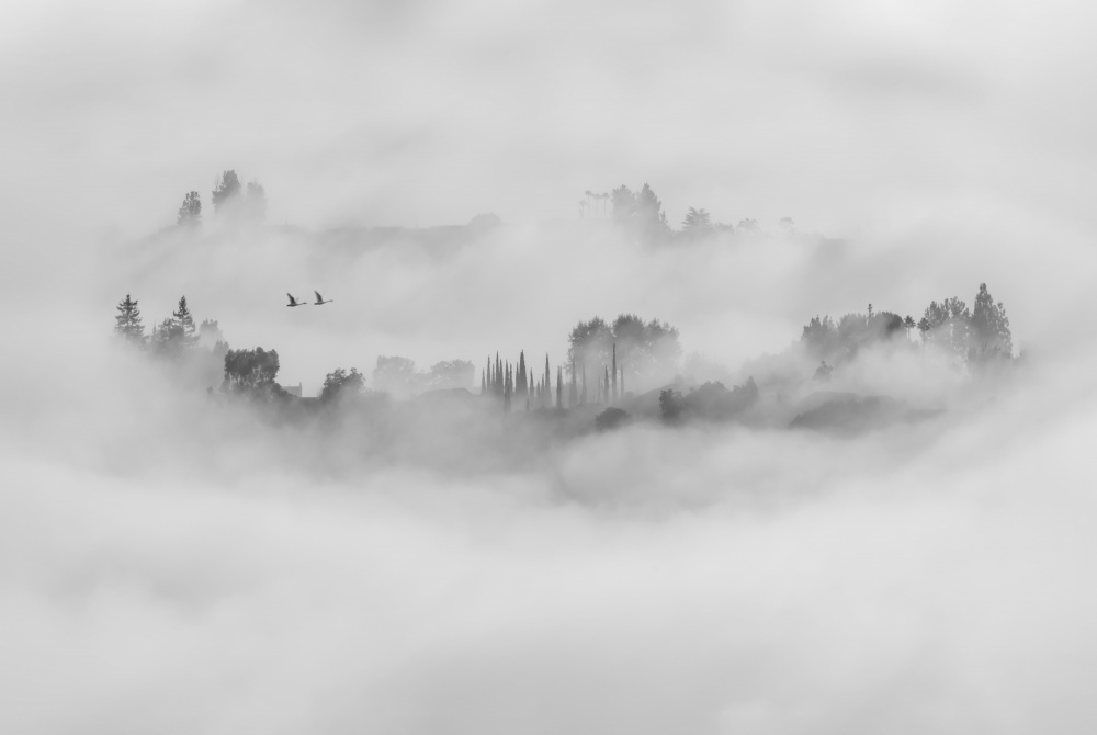Foggy Morning in Los Angeles from Jay Wang