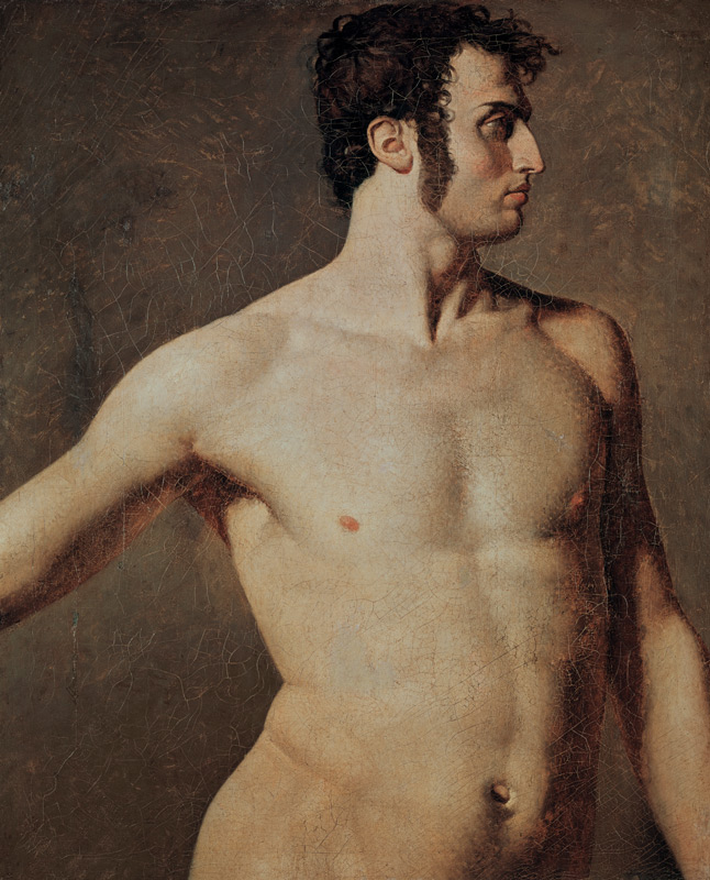 Male Torso from Jean Auguste Dominique Ingres