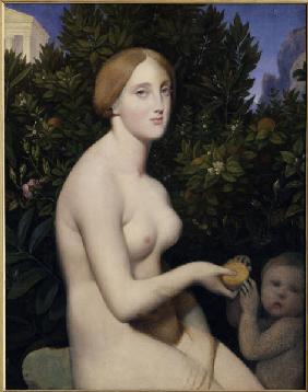 Venus on Paphos / Ingres / 1852/53