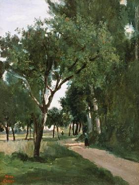 Avenue in the Woods, near Chaville