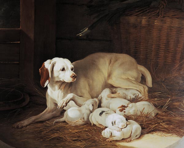 Bitch nursing puppies, detail from Lise et ses petits from Jean Baptiste Oudry