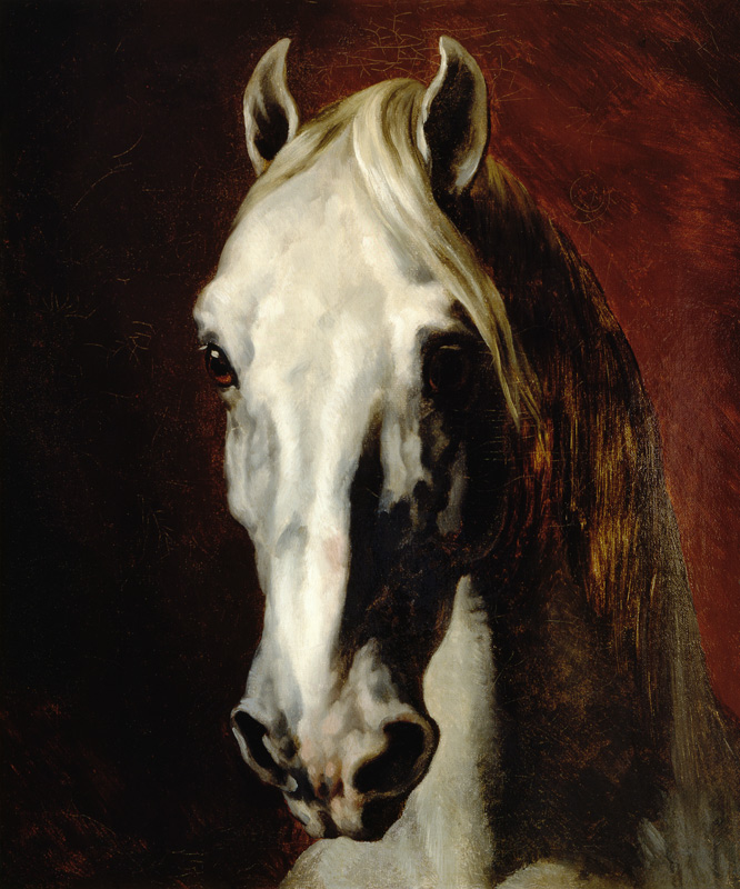 Head of a white horse. from Jean Louis Théodore Géricault