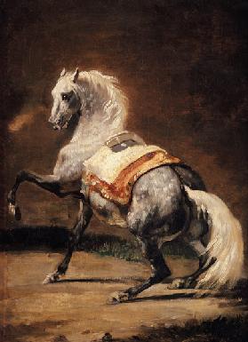 Dapple-grey horse