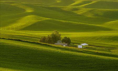 A view of the farm house in Palouse