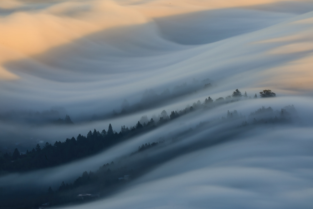 The Waves of Fogs from Jenny Qiu
