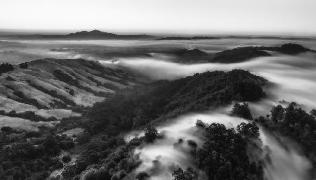 A Foggy Morning at Berkeley