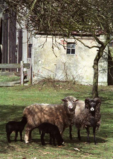 Landwirtschaft (Archivfoto und Text 1991) from Jens Büttner