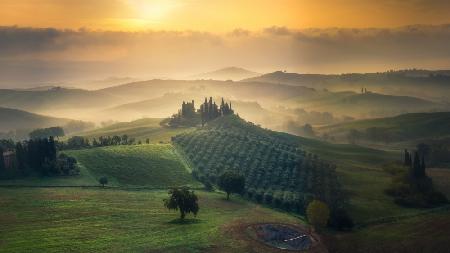 Tuscany Morning