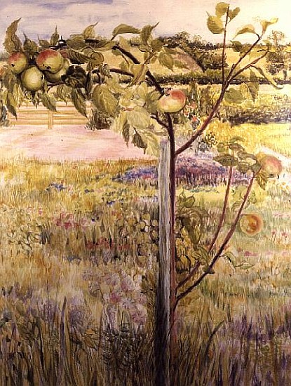 Apple Tree in a Suffolk Landscape (w/c)  from Joan  Thewsey