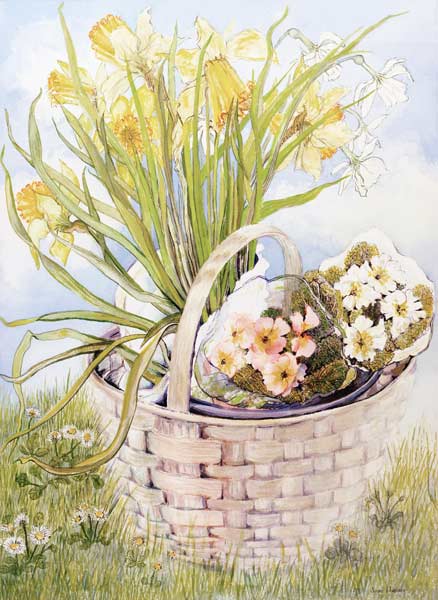 Daffodils and primroses in a basket from Joan  Thewsey