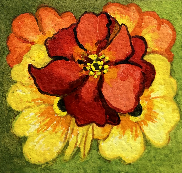 Five Primroses, red, yellow and orange from Joan  Thewsey