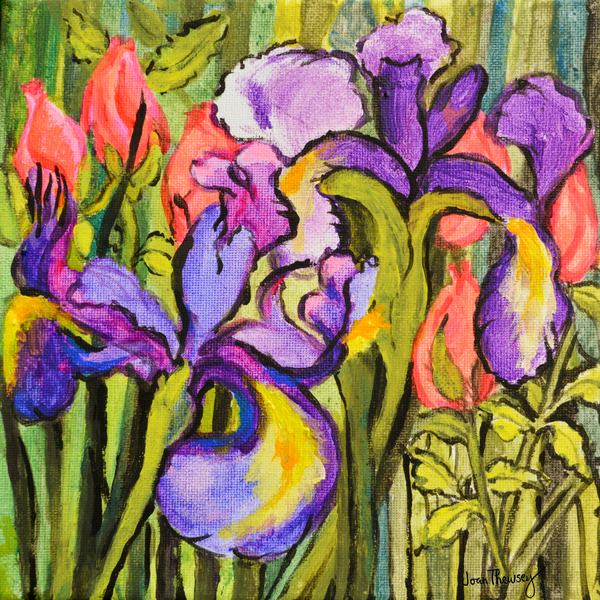 Irises and Roses from Joan  Thewsey