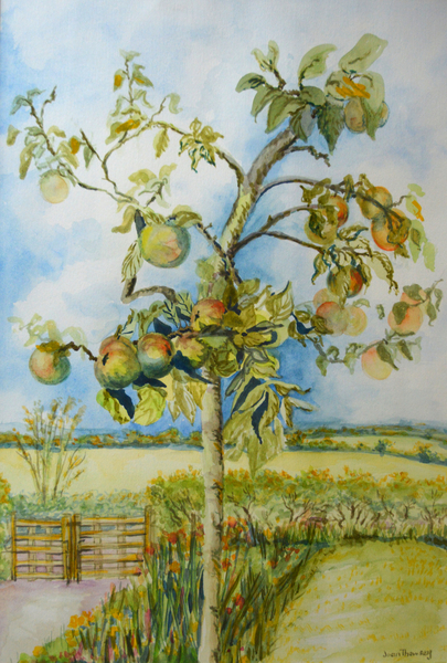 The Apple Tree from Joan  Thewsey