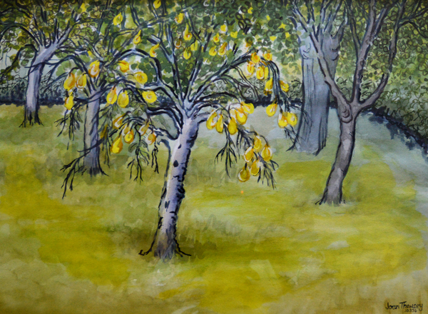 The Little Pear Tree from Joan  Thewsey