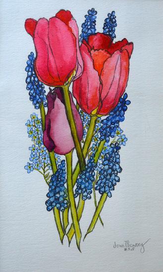 Tulips, Muscari and Forget-me-nots