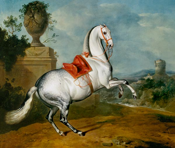 The Dapple Grey Galloping from Johann Georg Hamilton