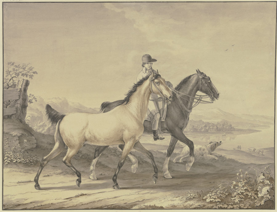 English horses from Johann Georg Pforr