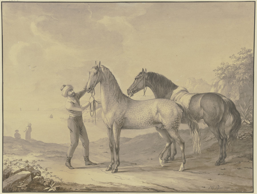 Horses from Tunis from Johann Georg Pforr