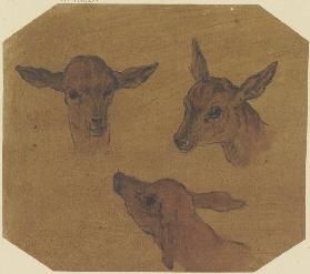 Three doe heads