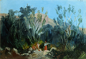 Jalapa et Cordoba. from Johann Moritz Rugendas