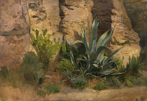 Studie einer Agave, Yucca, eines Feigenkaktus und Ginsters, an der Stadtmauer in Rom. from Johann Wilhelm Schirmer