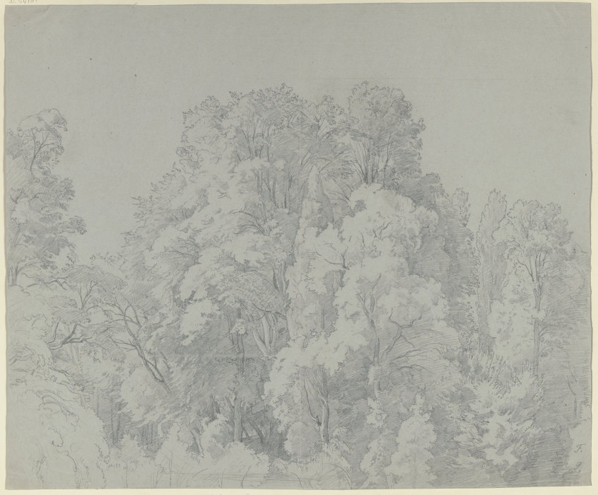 Forest section from Johann Wilhelm Schirmer
