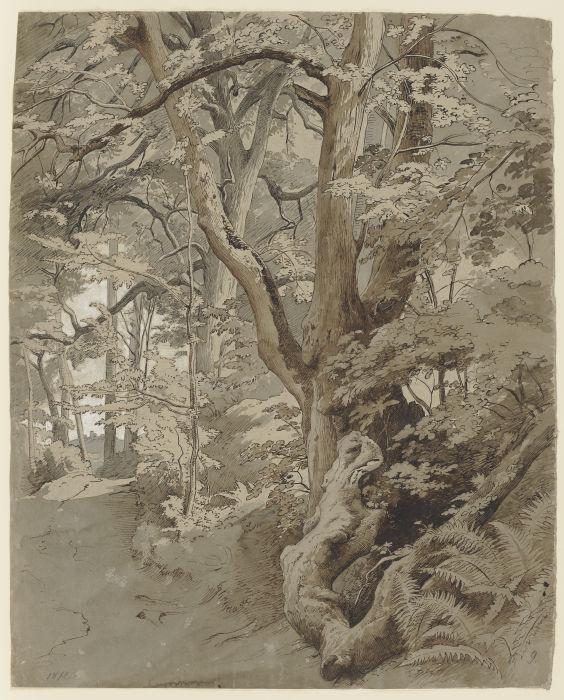 Waldpartie mit einer Eiche und Farnkraut from Johann Wilhelm Schirmer