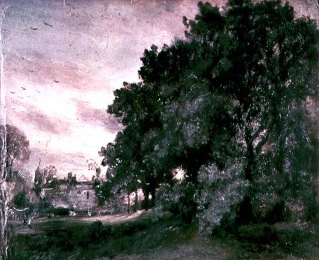 Study of Trees from John Constable