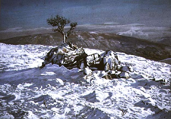 Barbondale Tree, Barbon, nr Kirby Lonsdale, Cumbria from John  Cooke