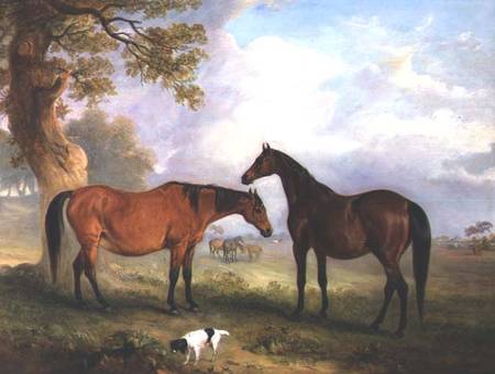 Brood Mares at Grass from John E. Ferneley d.J.