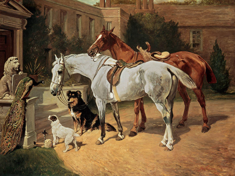 Horses and Dogs from John Emms