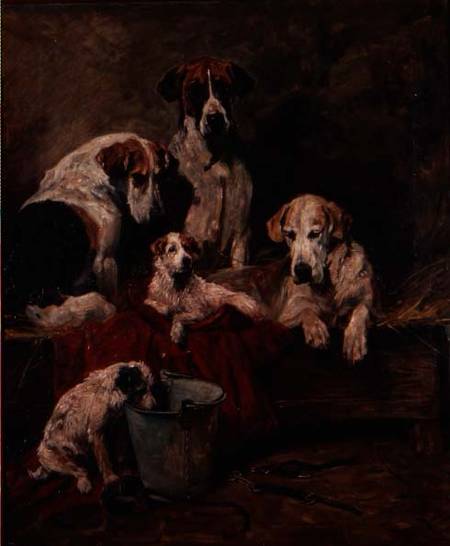Kennel Companions from John Emms