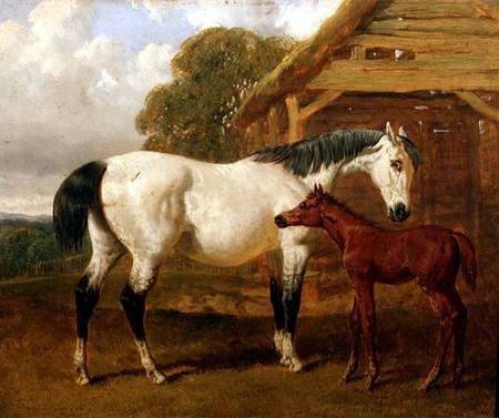 A Mare and Foal before a Barn from John Frederick Herring d.Ä.