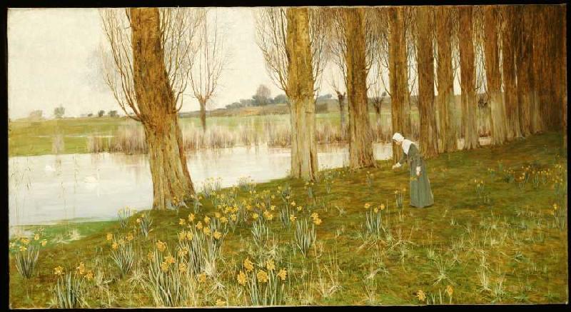 Poplars and narcissi at a channel from John George Sowerby