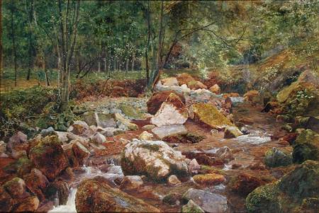 A Rocky Stream Overhung with Trees (w/c and bodycolour with gum arabic on paper) from John George Sowerby