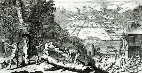 Illustration from ''The Reasons for establishing the Colony of Georgia'' Benjamin Martyn (1699-1763) from John Pine