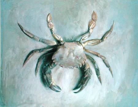 Velvet Crab from John Ruskin