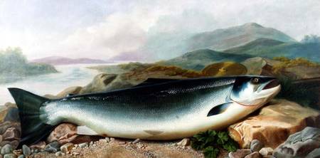 Still Life of a Salmon on a Riverbank in a Mountainous Landscape from John Russell